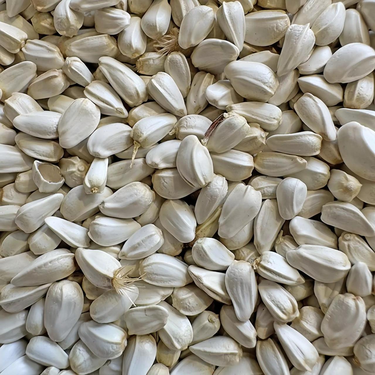 Safflower Seed